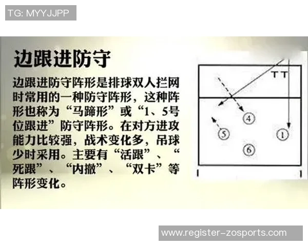 广州排球队反击战术深度解析与实战应用探讨 广州排球队反击战术深度解析与实战应用探讨